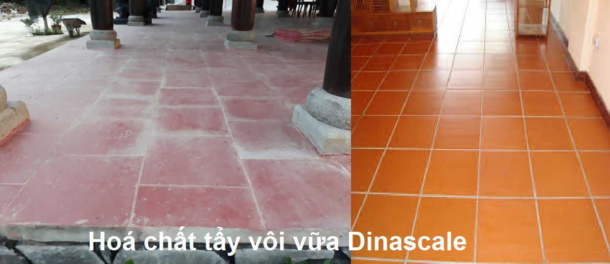 Chất tẩy vôi vữa Dinascale